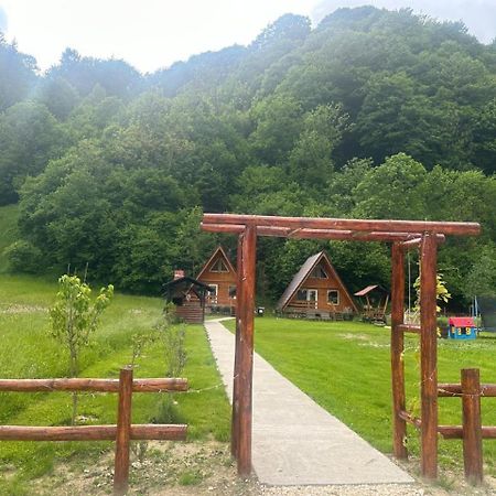 Rucăr Cabanutze Saticヴィラ エクステリア 写真