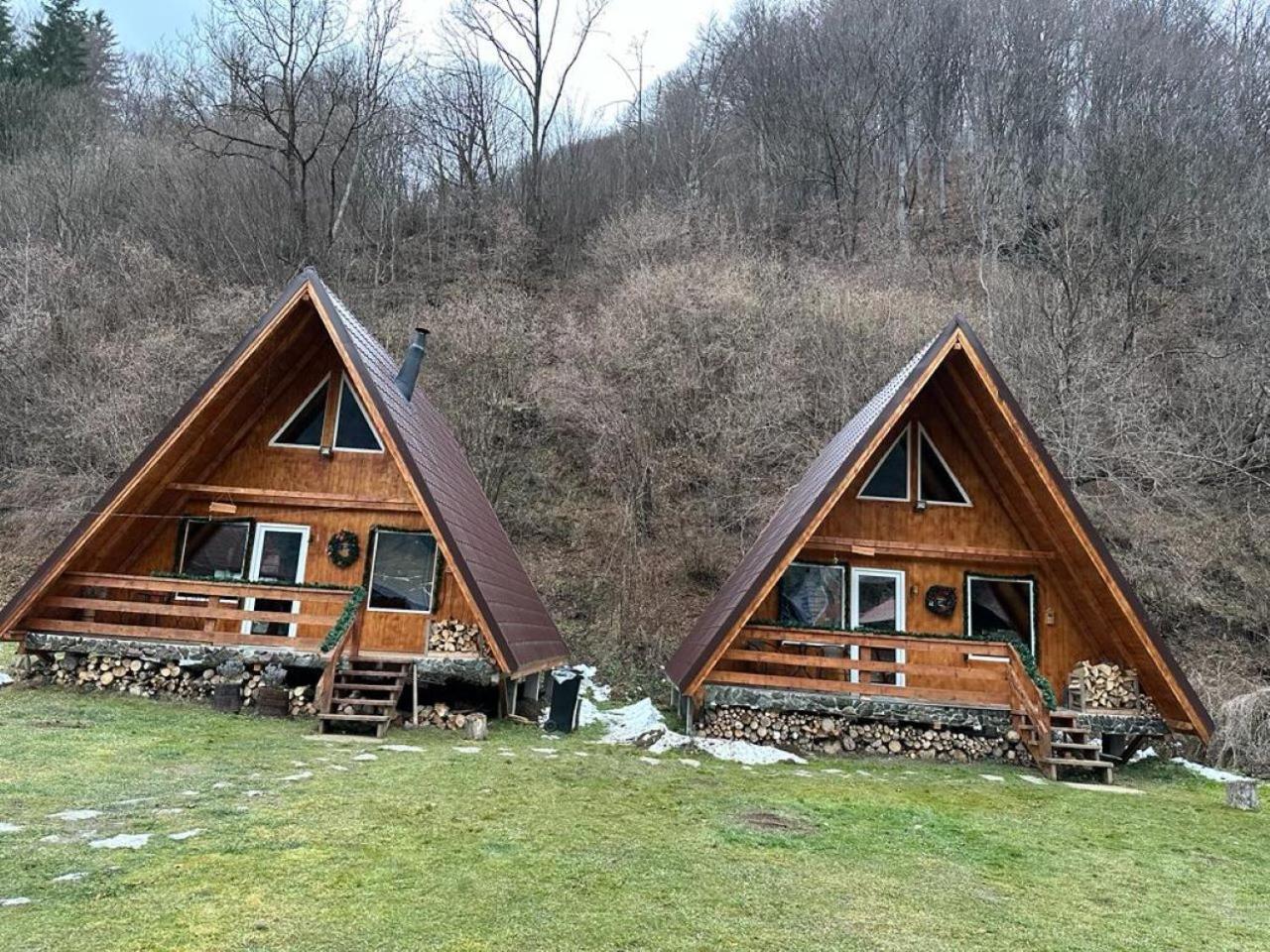 Rucăr Cabanutze Saticヴィラ エクステリア 写真