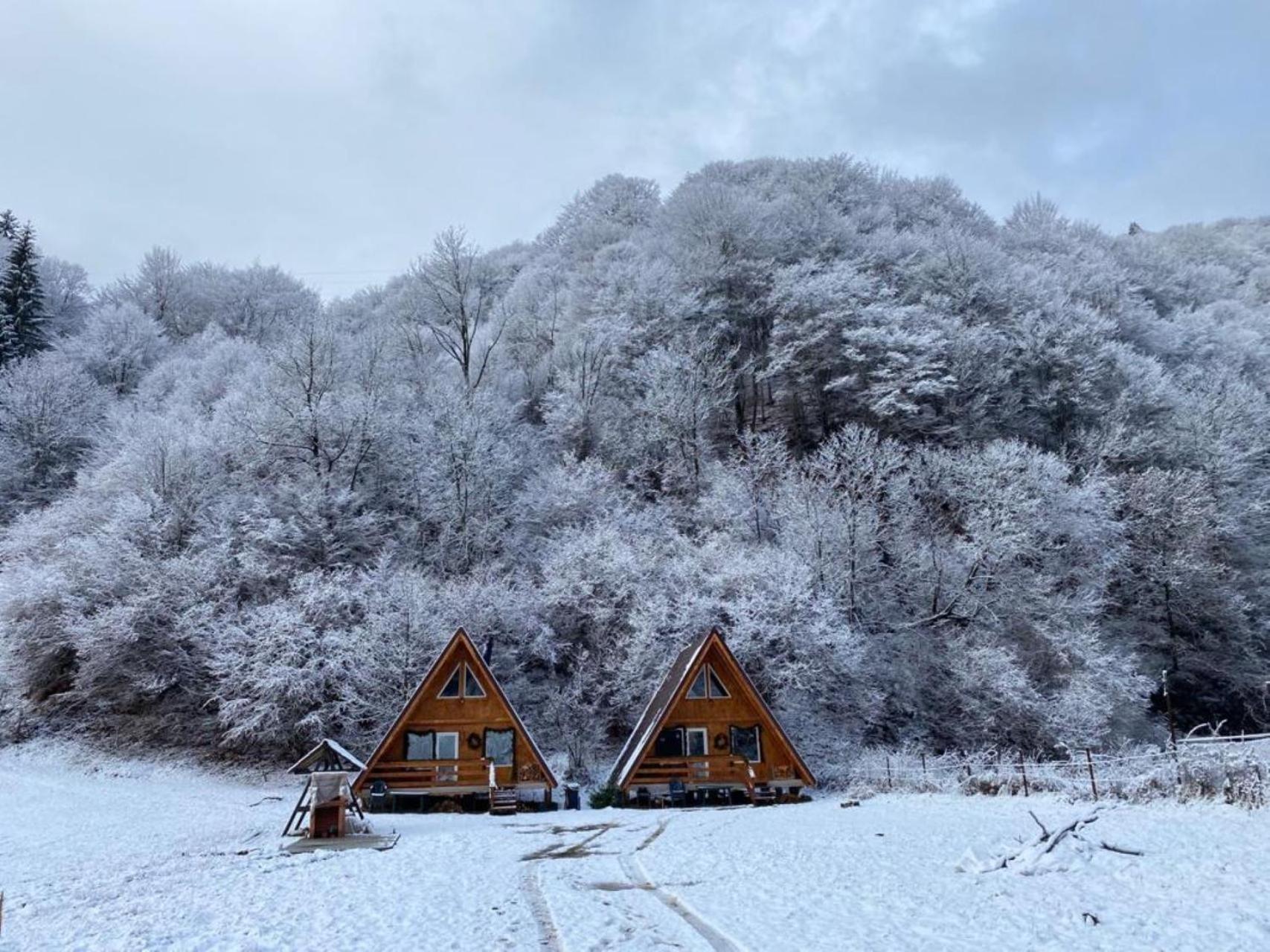 Rucăr Cabanutze Saticヴィラ エクステリア 写真