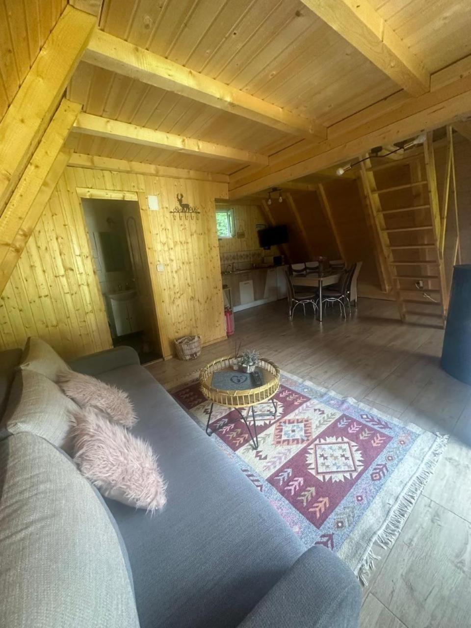 Rucăr Cabanutze Saticヴィラ エクステリア 写真