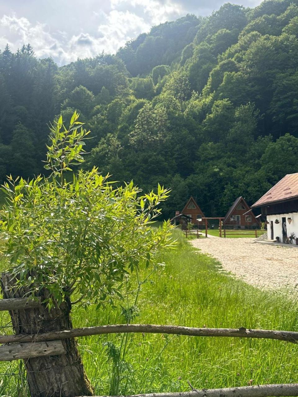 Rucăr Cabanutze Saticヴィラ エクステリア 写真