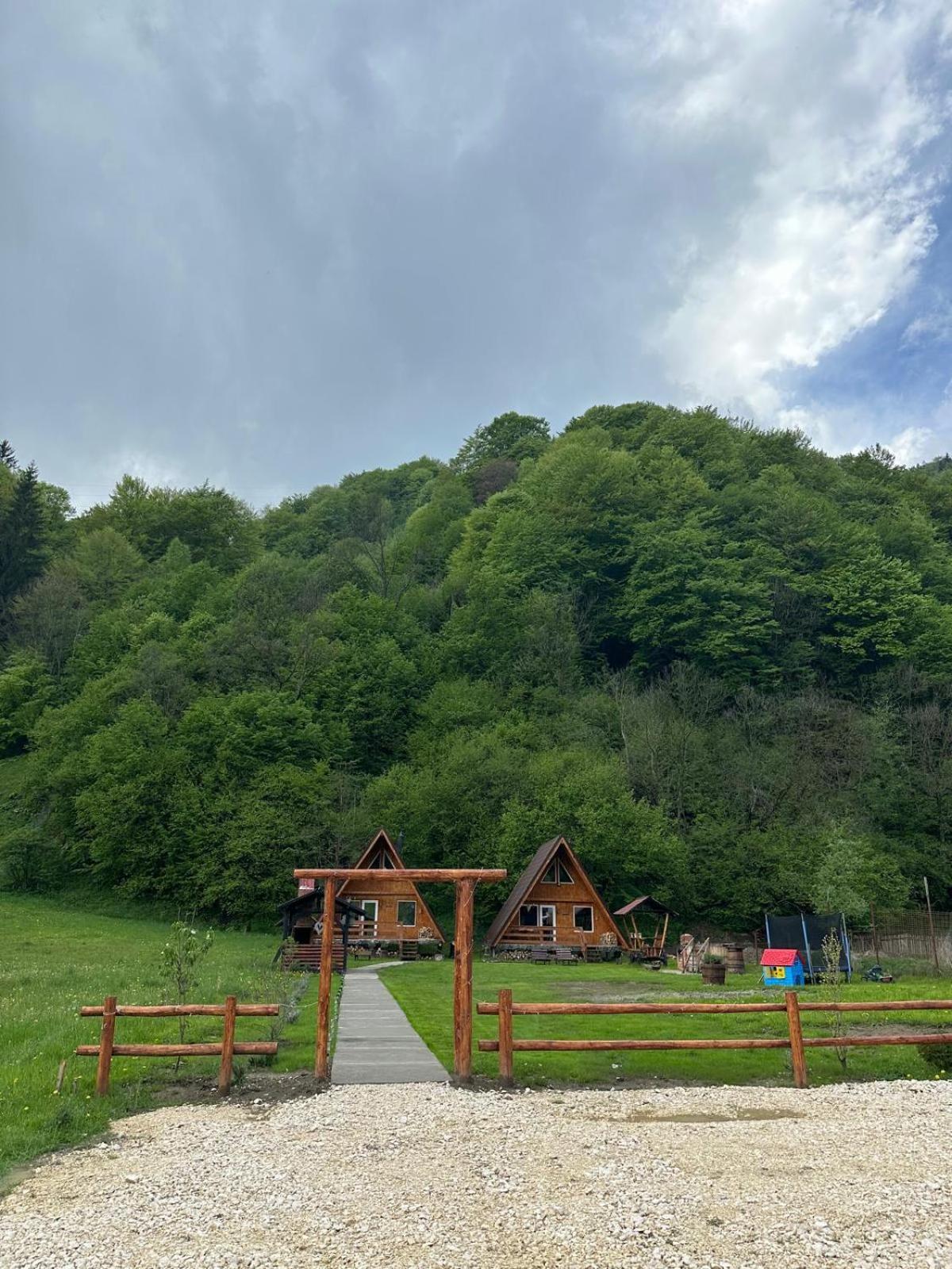 Rucăr Cabanutze Saticヴィラ エクステリア 写真