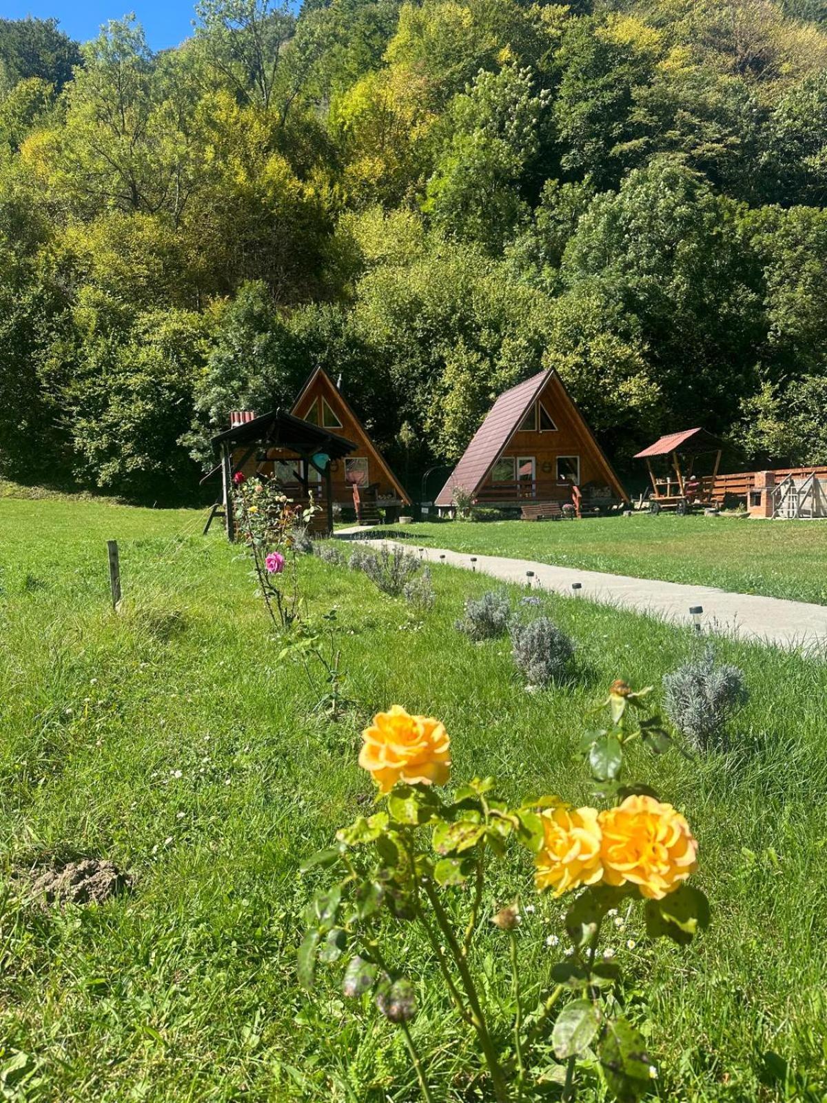 Rucăr Cabanutze Saticヴィラ エクステリア 写真